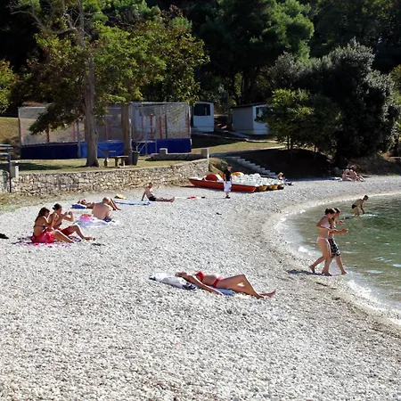 With Wifi - 13031 Póla