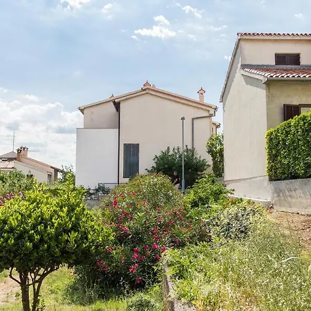 Apartament With Wifi - 13031