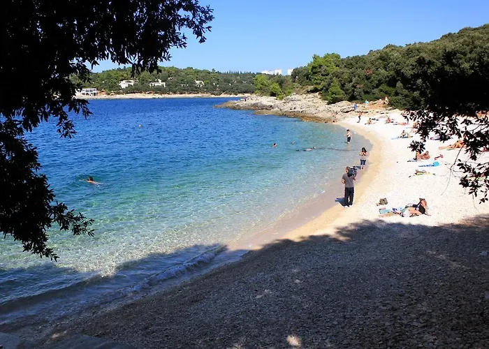 Апартаменты With Wifi - 13031 *