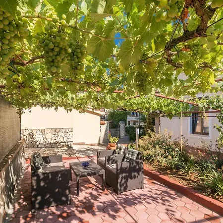 With Wifi - 13031 Πούλα